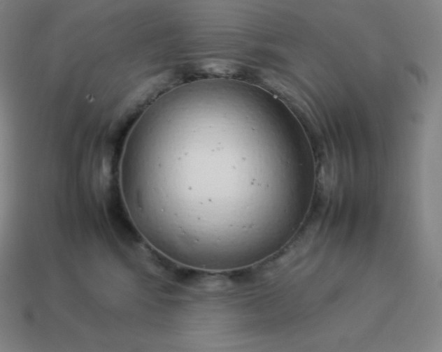 X0000113910424200910081854