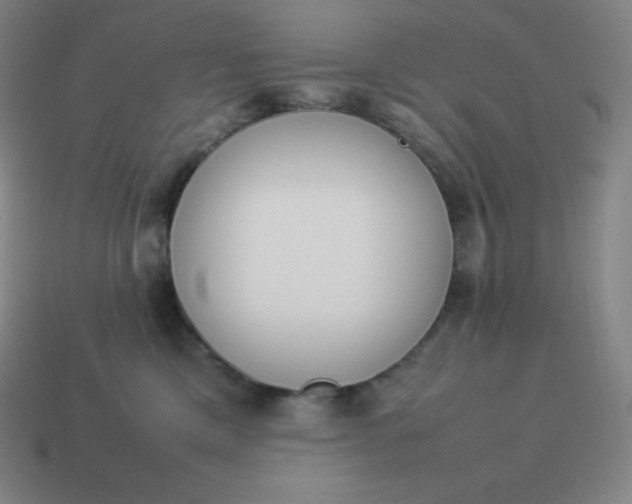 X0000113910425200910081854