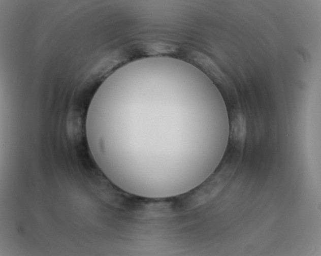 X0000113910426200910081854