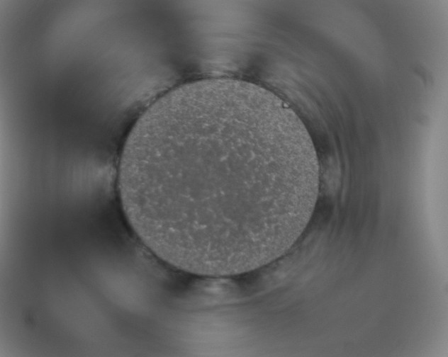 X0000113910427200910081854