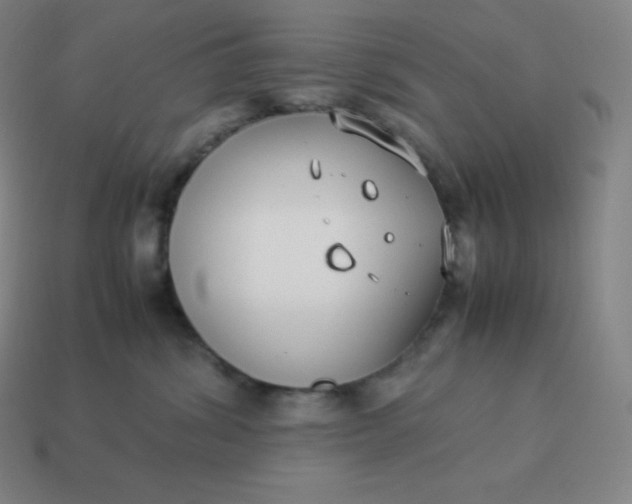 X0000113910428200910081854