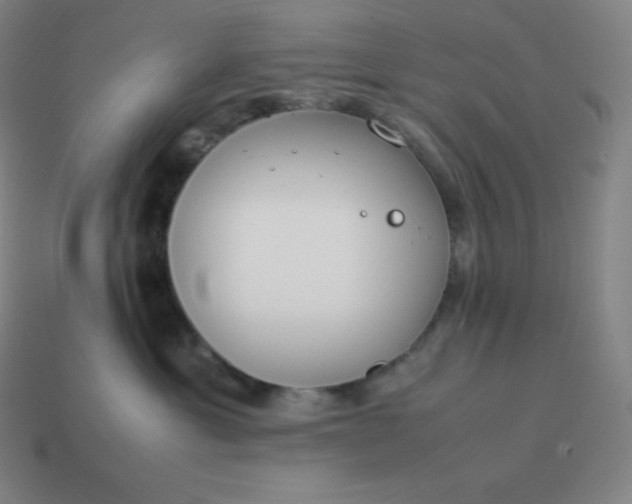 X0000113910429200910081854