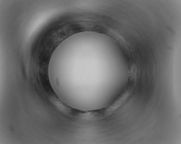 X0000113910430200910081854