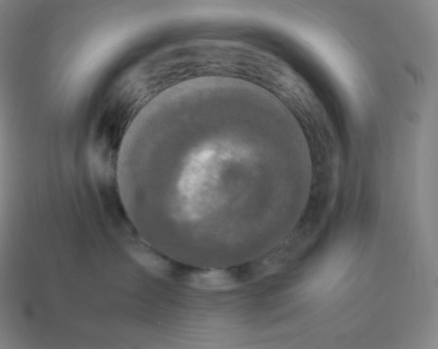 X0000113910431200910081854