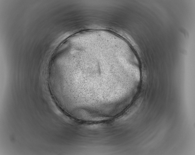 X0000113910433200910081853