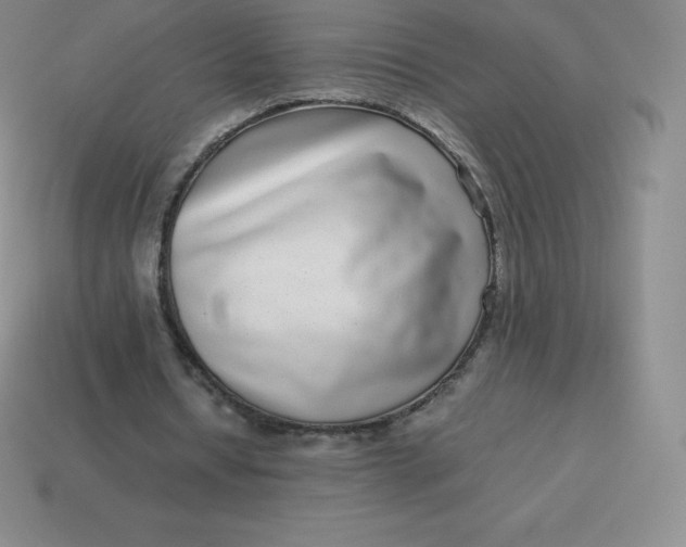 X0000113910434200910081853