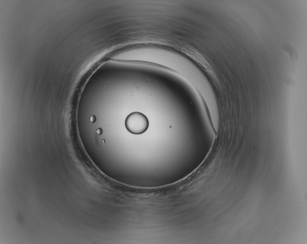 X0000113910436200910081853