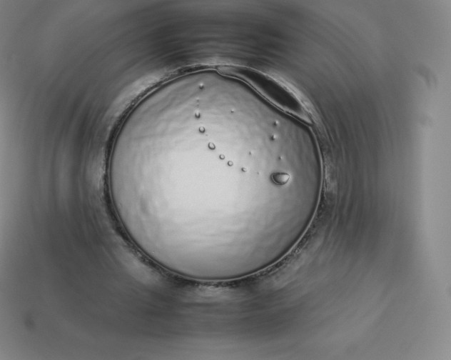 X0000113910437200910081853