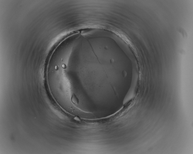 X0000113910438200910081853