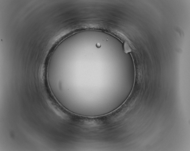 X0000113910439200910081853