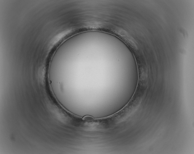 X0000113910440200910081853