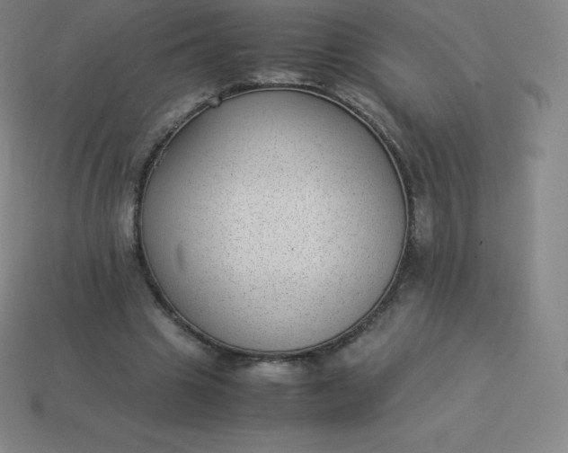 X0000113910441200910081853