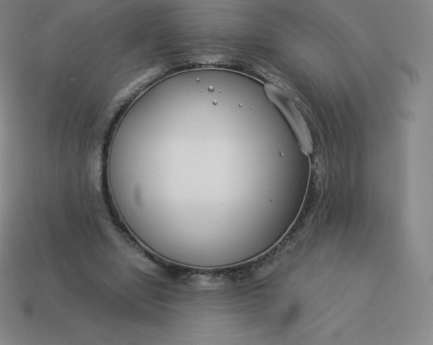 X0000113910442200910081853