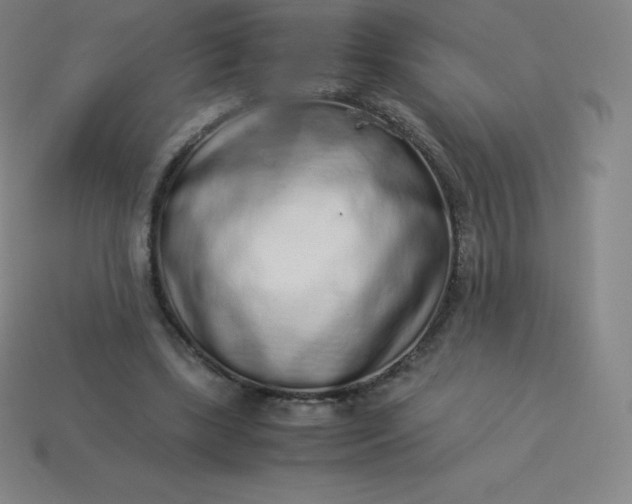 X0000113910443200910081853