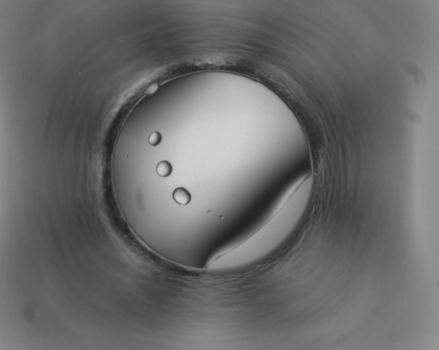 X0000113910444200910081853