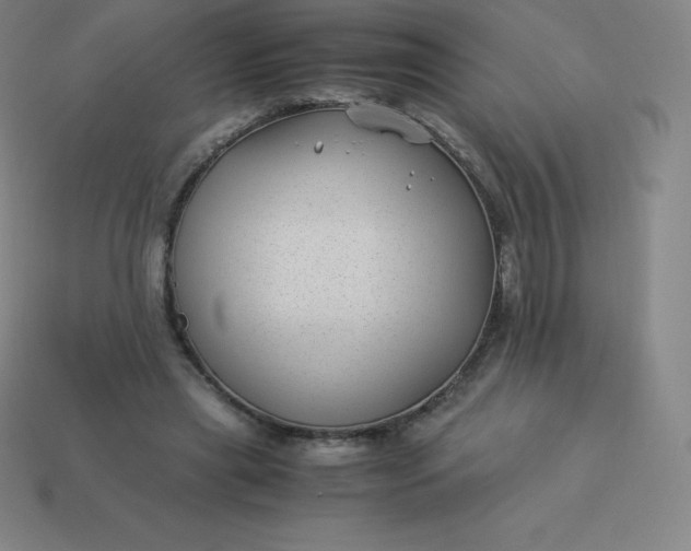 X0000113910445200910081853