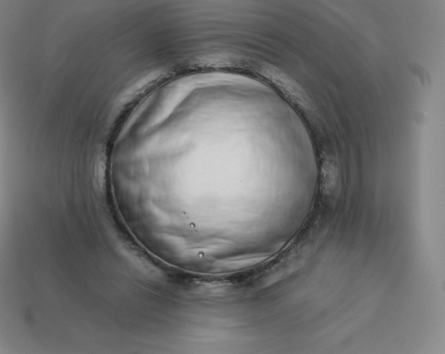 X0000113910446200910081853