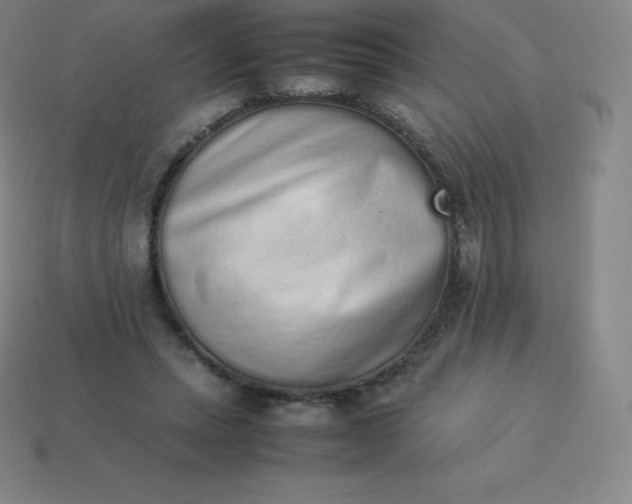 X0000113910447200910081853