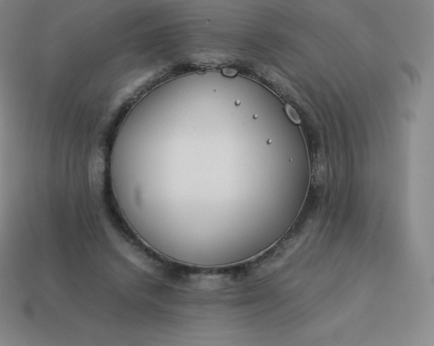 X0000113910448200910081853