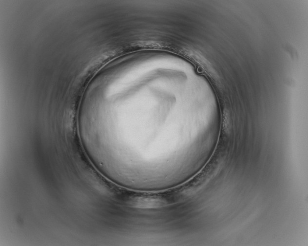 X0000113910449200910081853