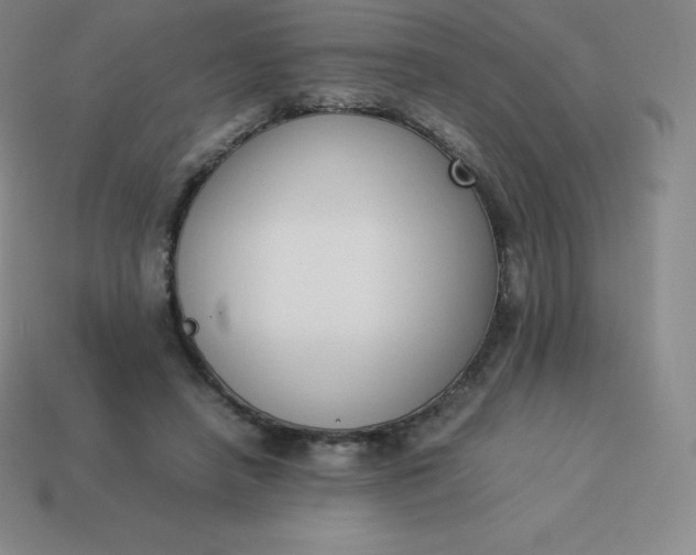 X0000113910450200910081853