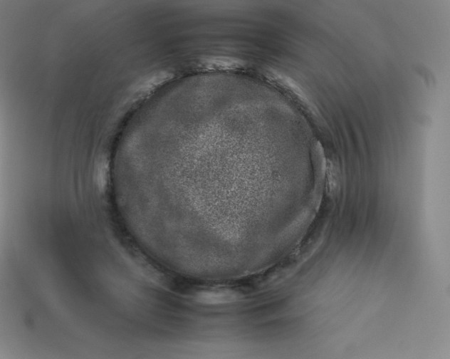 X0000113910451200910081853