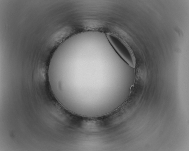 X0000113910452200910081853