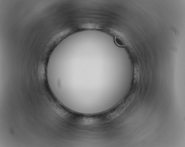 X0000113910453200910081853