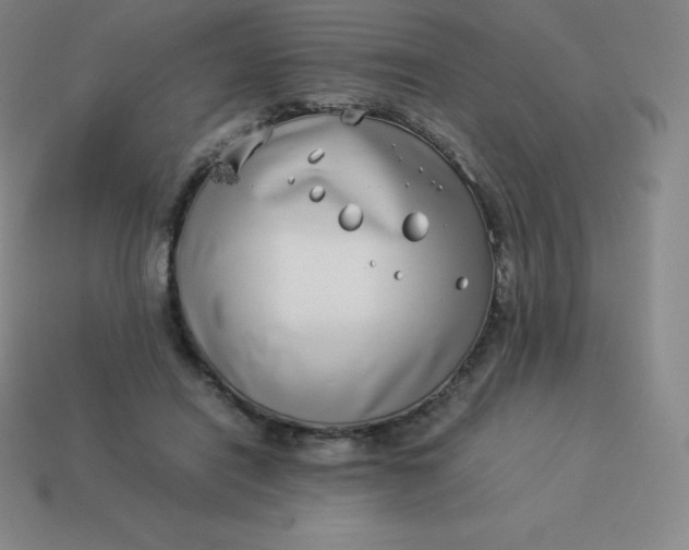 X0000113910454200910081853