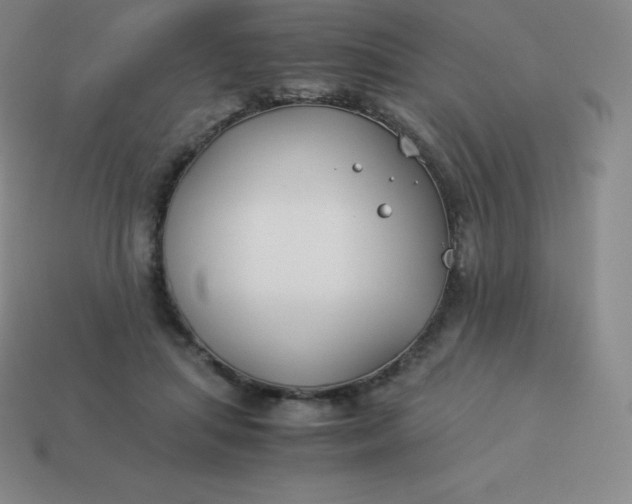 X0000113910455200910081853