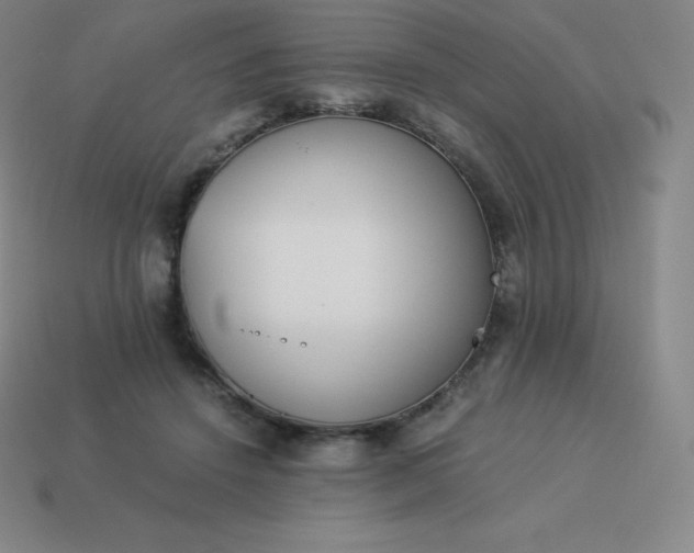 X0000113910456200910081853