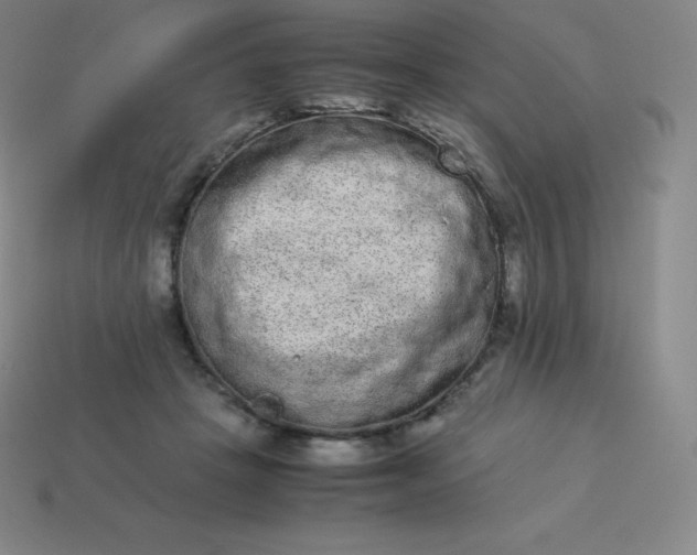 X0000113910457200910081853