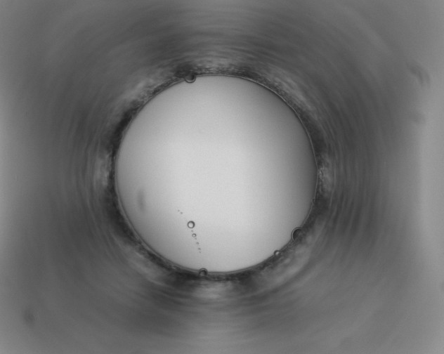 X0000113910458200910081853