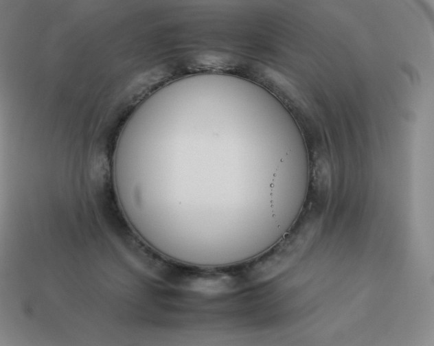 X0000113910459200910081853