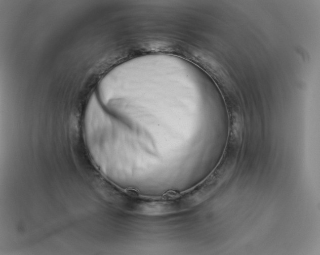 X0000113910461200910081853