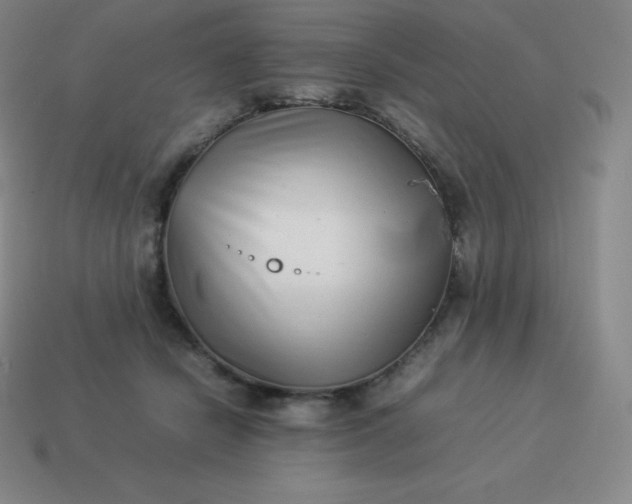 X0000113910462200910081853