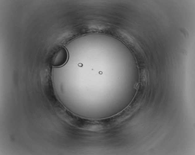 X0000113910463200910081853