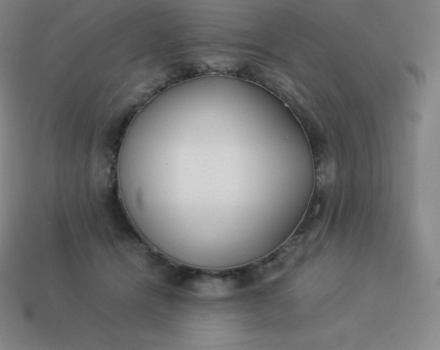 X0000113910464200910081853