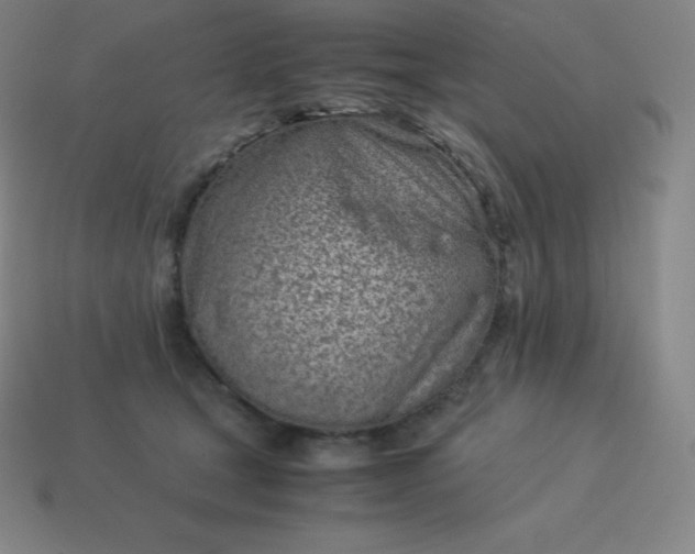 X0000113910465200910081853