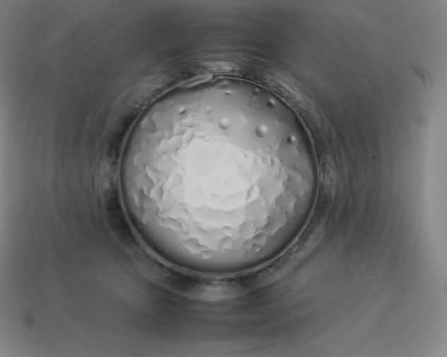 X0000113910467200910081854