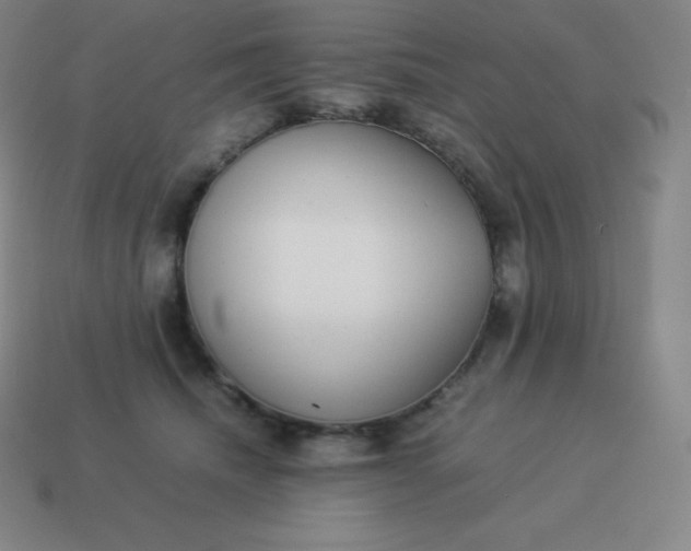 X0000113910468200910081854