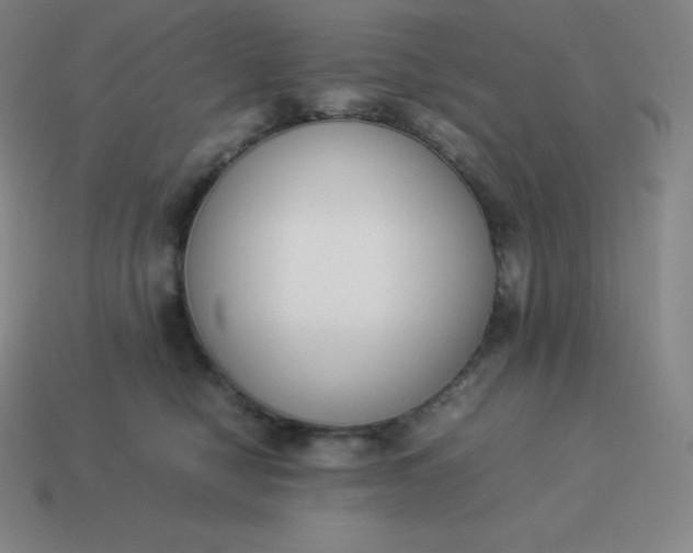 X0000113910470200910081854