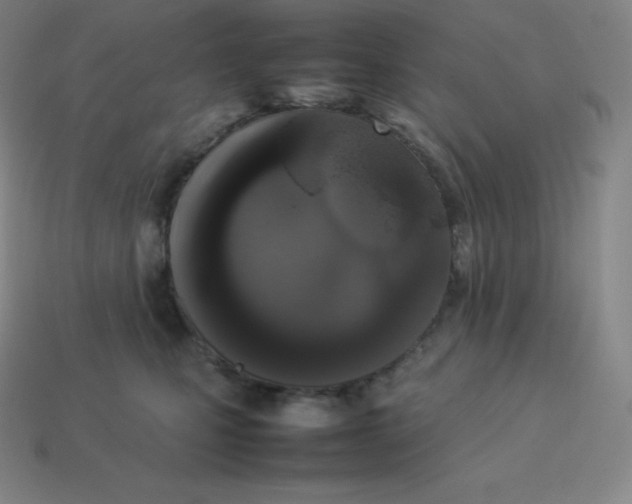 X0000113910471200910081854