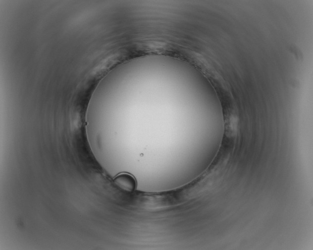 X0000113910472200910081854