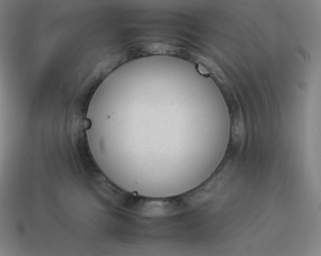 X0000113910473200910081854