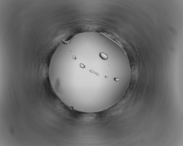 X0000113910474200910081854