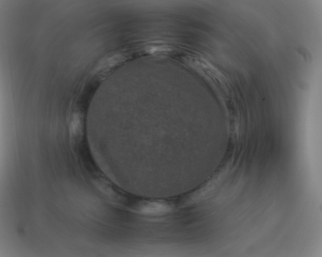 X0000113910475200910081854