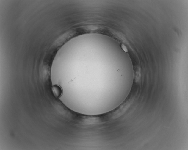 X0000113910476200910081854