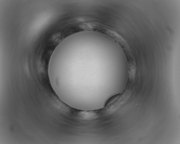 X0000113910477200910081854