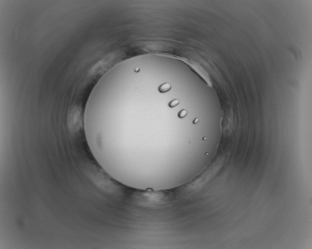 X0000113910478200910081854